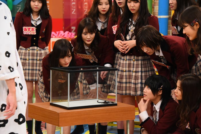 山本彩/16日放送「NMBとまなぶくん」より(C)カンテレ