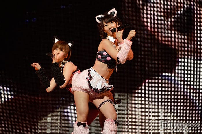 柏木由紀(右)のセクシーしゃむねこで会場悩殺(C)AKS