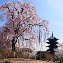「週末京都旅行」でやりたい4つのこと 列車に乗ったら非日常のはじまり!