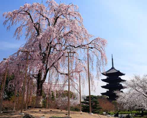 「週末京都旅行」でやりたい4つのこと 列車に乗ったら非日常のはじまり!