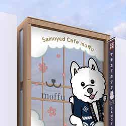 サモエドカフェmoffu竹下通り店※写真はイメージ/提供素材