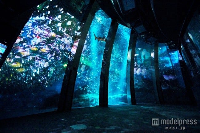 週末何する?次の休みに行くお出かけスポット11選vol.7