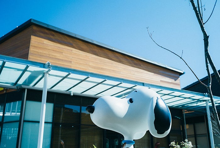 スヌーピーミュージアム（C）Peanuts Worldwide LLC