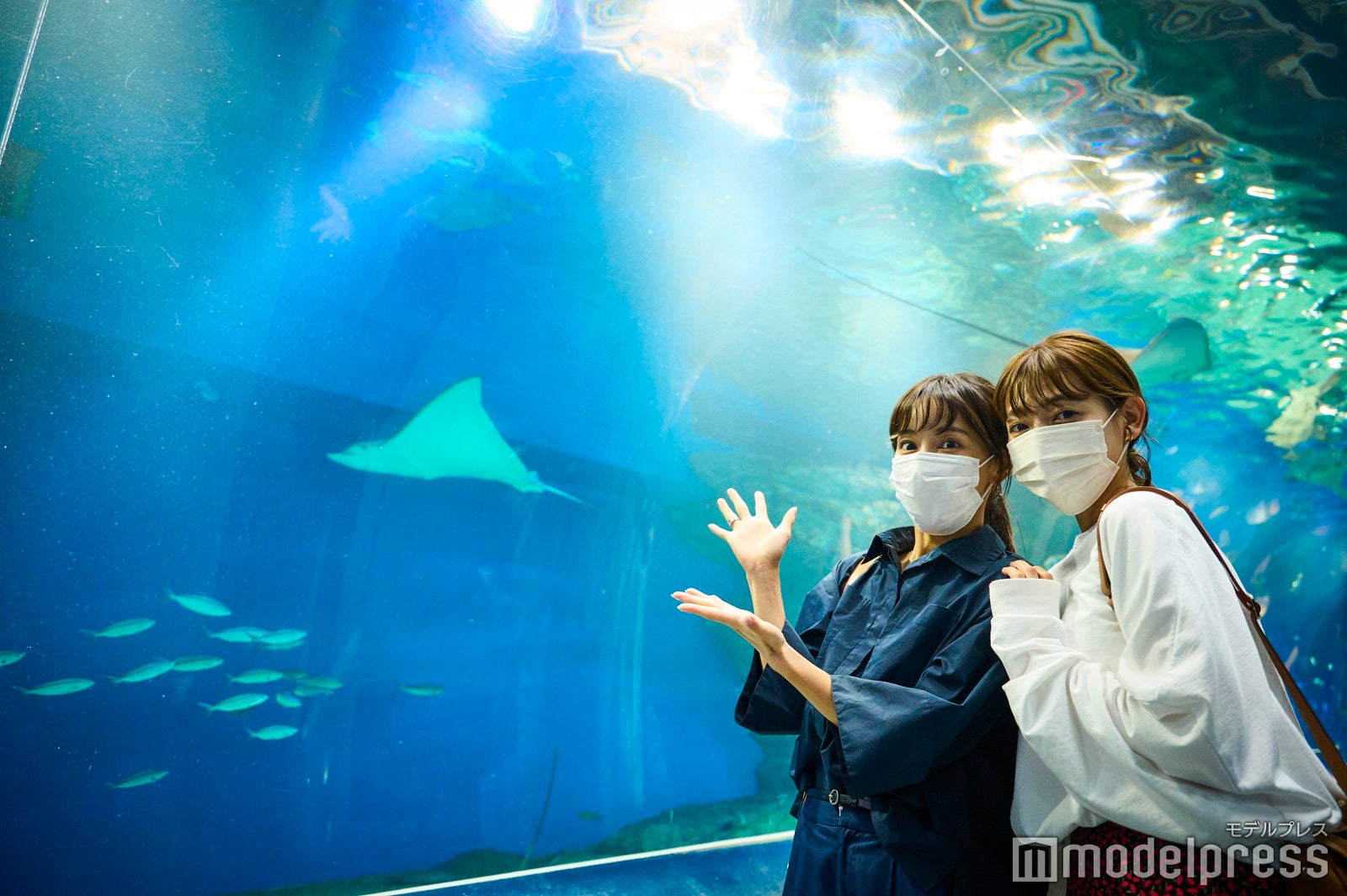 マクセル アクアパーク品川（C）モデルプレス