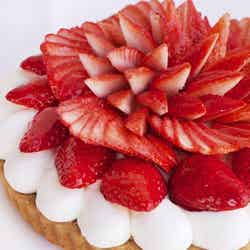 週末何する?次の休みに行くお出かけスポット8選vol.63/「カフェコムサ」茨城いちごグランプリ受賞いちご・茨城県深作農園産いちごのケーキ/画像提供:ファイブフォックス