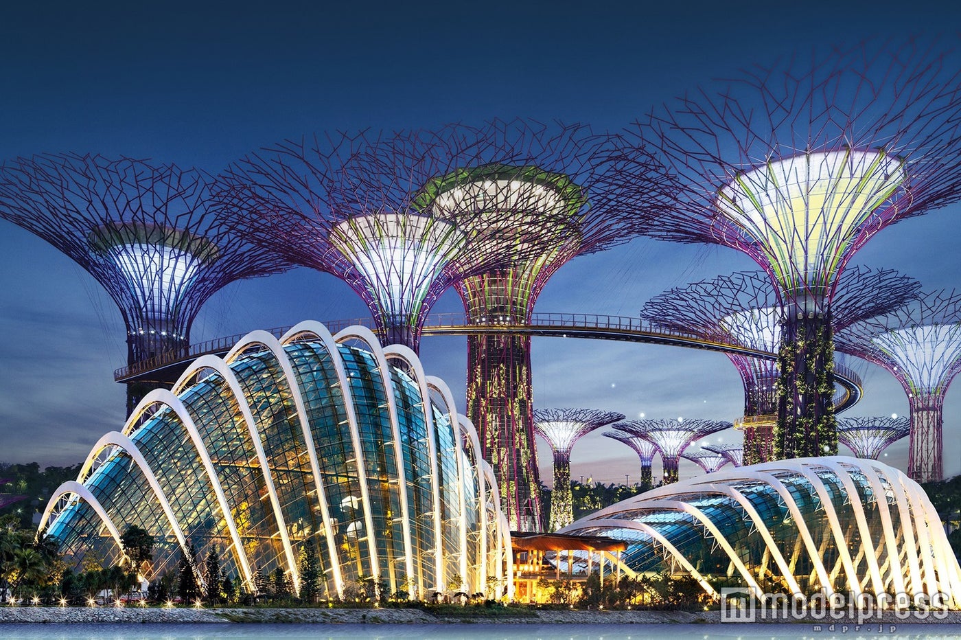 シンガポール　ガーデンズ・バイ・ザ・ベイ／画像提供：JTBワールドバケーションズ