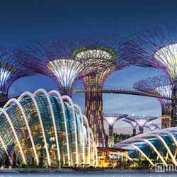 シンガポール　ガーデンズ・バイ・ザ・ベイ／画像提供：JTBワールドバケーションズ