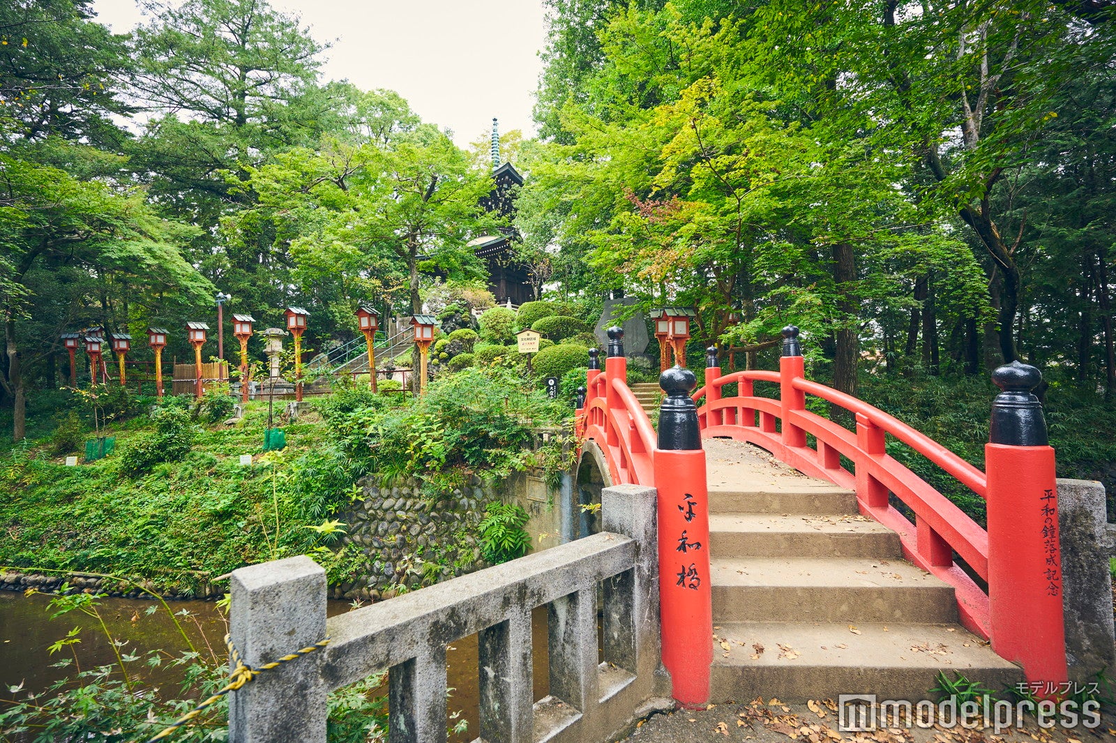 境内奥の平和橋周辺は隠れたおすすめ撮影スポット（C）モデルプレス