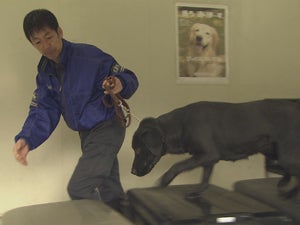 犬の気持ちが分かる男 麻薬探知犬育成士 菊地昭洋の 育て の流儀に迫る プロフェッショナル 仕事の流儀 モデルプレス