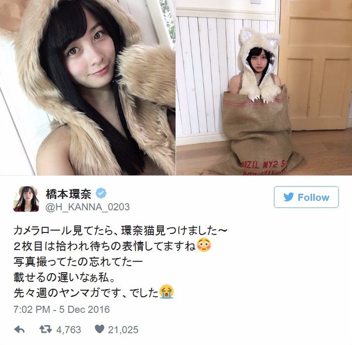 “猫”に扮した橋本環奈/橋本環奈Twitterより