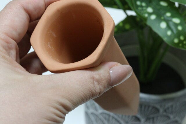 ダイソー 植物用ウォーターディスペンサー ダイソーの植物用ウォーターディスペンサーは植物の水やりに便利