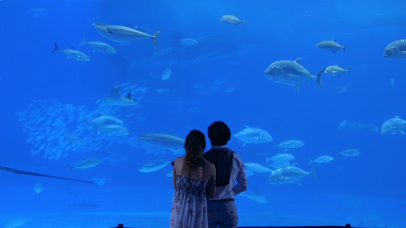 「バチェラー・ジャパン」シーズン1より（C）2016 Warner Bros. International Television Production Limited. All rights reserved.（C）YD Creation All rights reserved