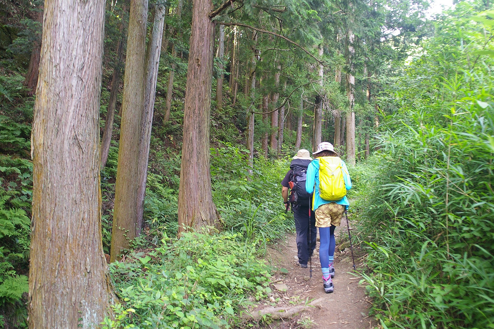 （手前）横山エリカ（画像提供：所属事務所）