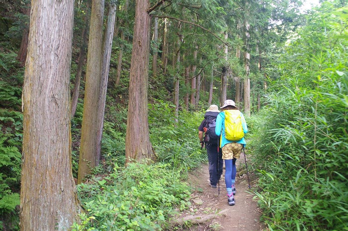 (手前)横山エリカ(画像提供:所属事務所)
