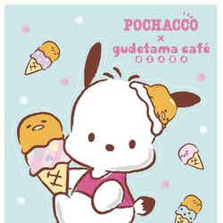 ポチャッコ×ぐでたま/税抜き(C)1989, 2013, 2018 SANRIO CO., LTD. APPROVAL NO.S591571