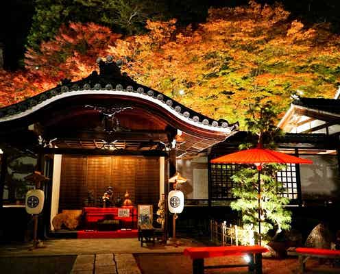 東海地方で人気の紅葉スポットランキング! 2位は「下呂温泉」、1位は?【専門家のおすすめも】