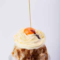 “玉子かけかき氷&忍かき氷”が斬新!姫路「夢織館」で時代劇の世界にタイムスリップ/画像提供:時代カフェ