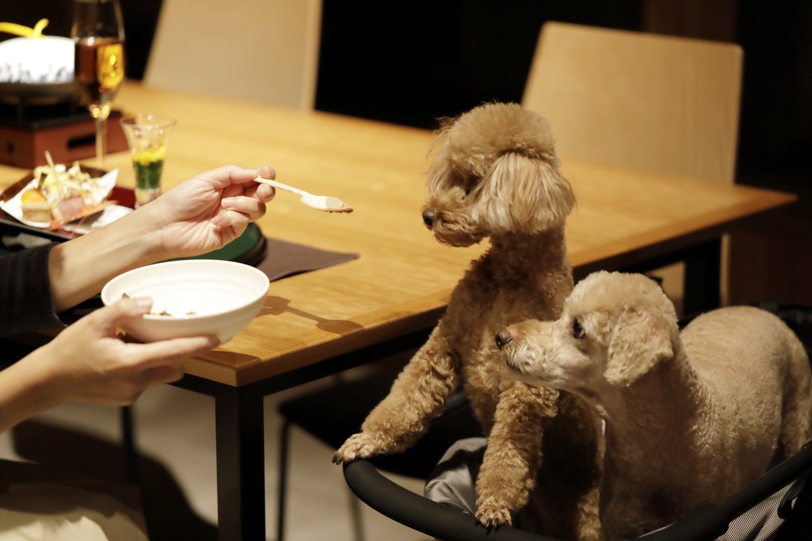 レジーナリゾートのこだわり／提供画像