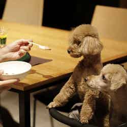 レジーナリゾートのこだわり/提供画像