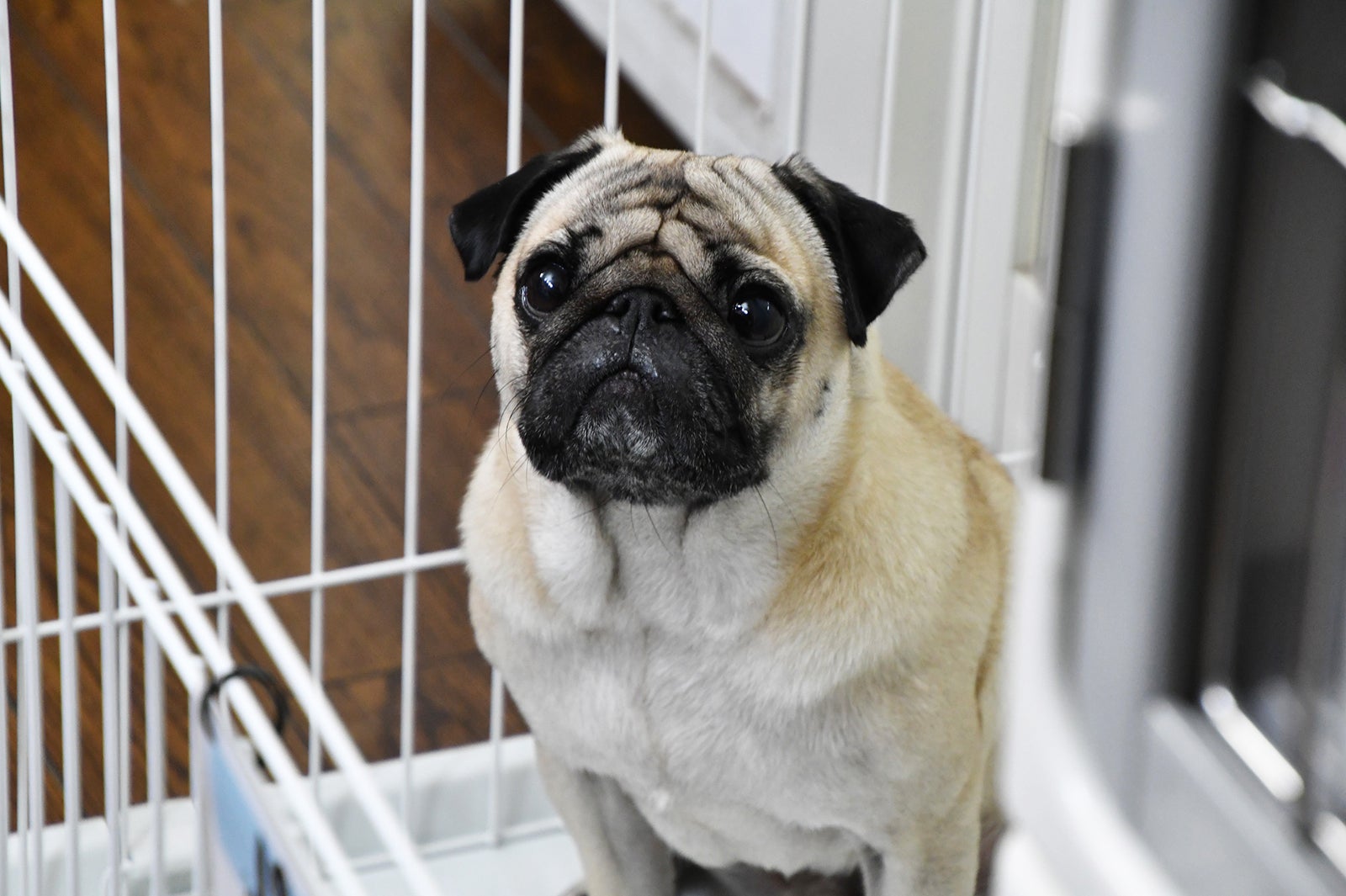 「まだ結婚できない男」より（C）カンテレ