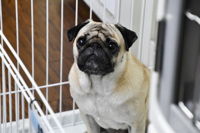 「まだ結婚できない男」より(C)カンテレ