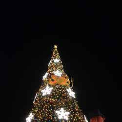 S.S.コロンビア号の前の高さ約15メートルのクリスマスツリー（夜）