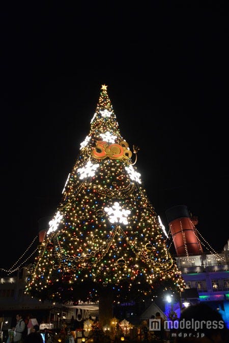 S.S.コロンビア号の前の高さ約15メートルのクリスマスツリー(夜)