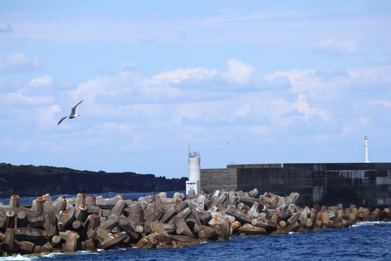 陸からクジラに会える!? 雄大な自然と島グルメでパワーチャージする八丈島の過ごし方