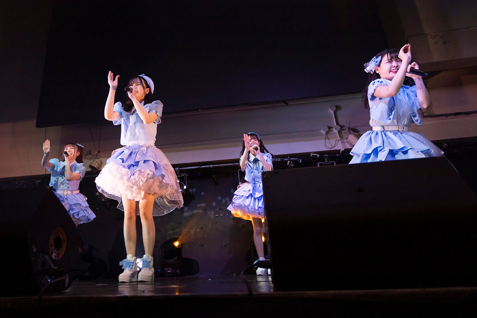 泡恋（提供写真）