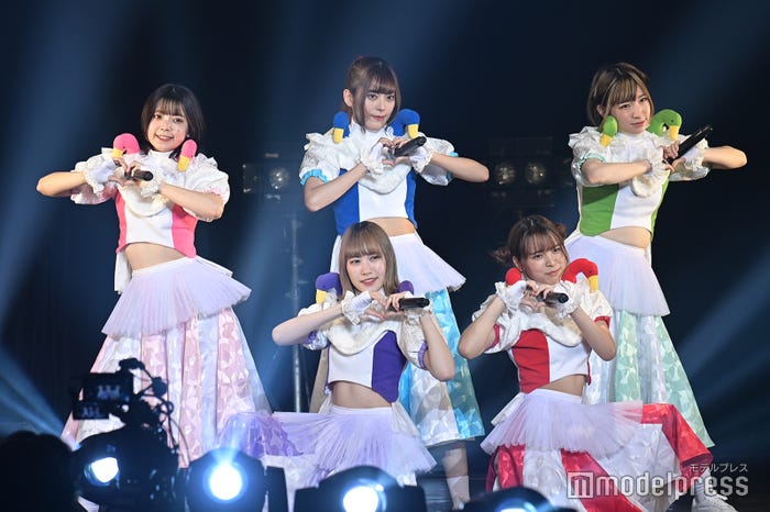 豆柴の大群(C)モデルプレス