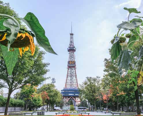 北海道観光で訪れたい定番&最新スポット厳選6つ