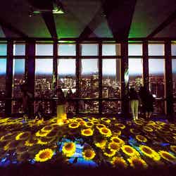 TOKYO TOWER CITY LIGHT FANTASIA ～SUMMER OF JAPAN～／画像提供：東京タワー