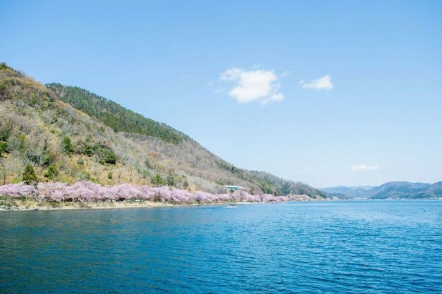 日本さくら名所100選の絶景が楽しめる♡