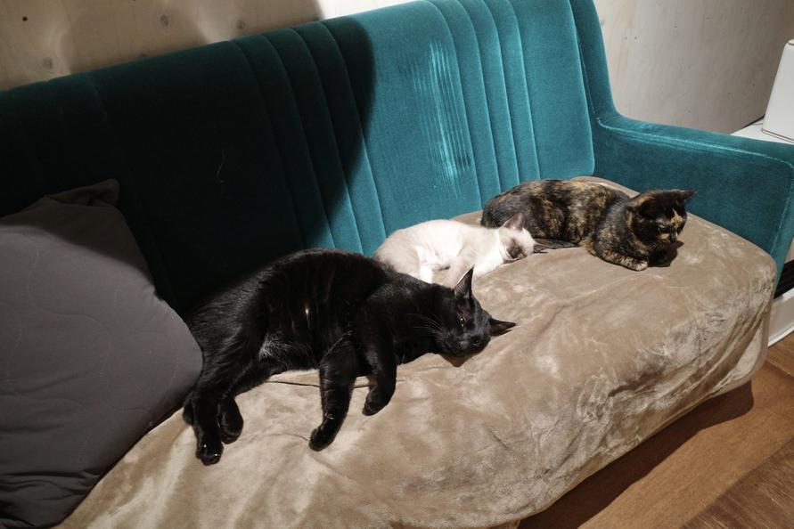 無印良品ソファやベッドで使えるホットシート