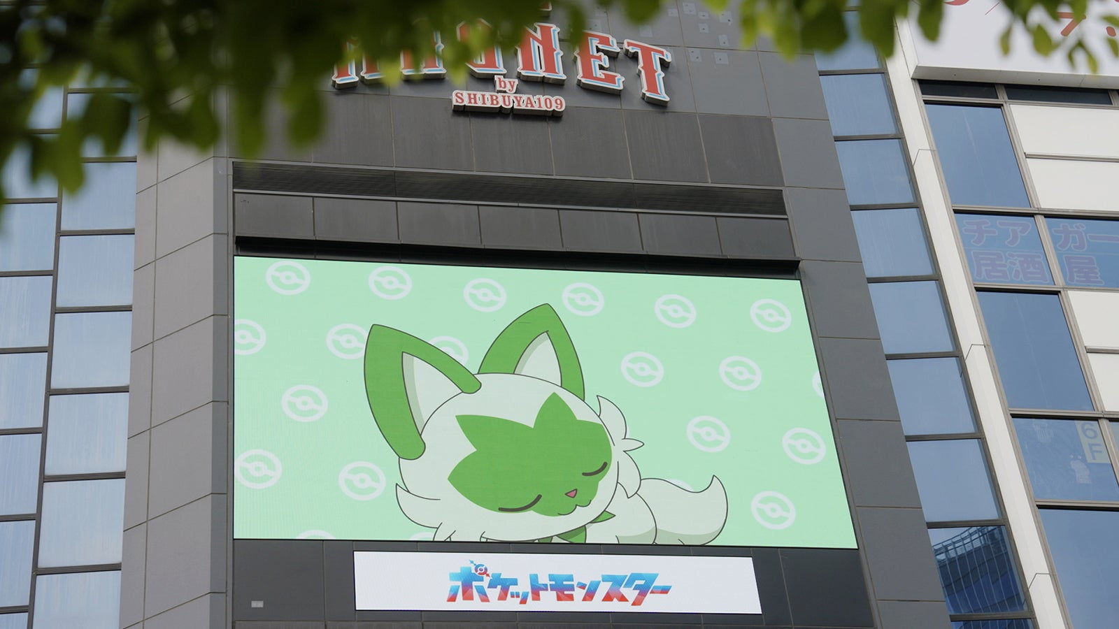 ポケットモンスター渋谷街頭ビジョン13面ジャックの模様（提供写真）
