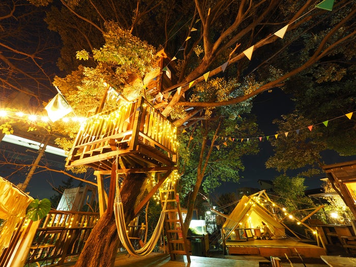 千葉市初ツリーハウスカフェ 椿森コムナ 夏空を彩る フリンジガーランド 夜はライトアップで非日常の空間へ 女子旅プレス
