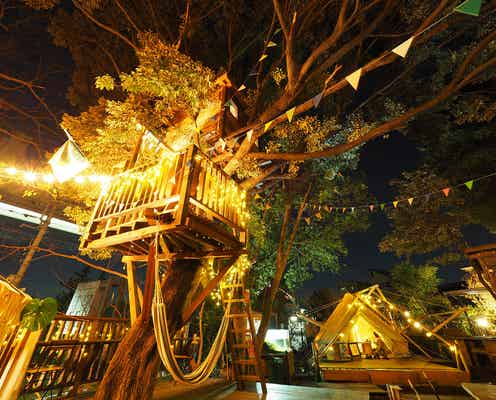 千葉市初ツリーハウスカフェ「椿森コムナ」夏空を彩る“フリンジガーランド” 夜はライトアップで非日常の空間へ