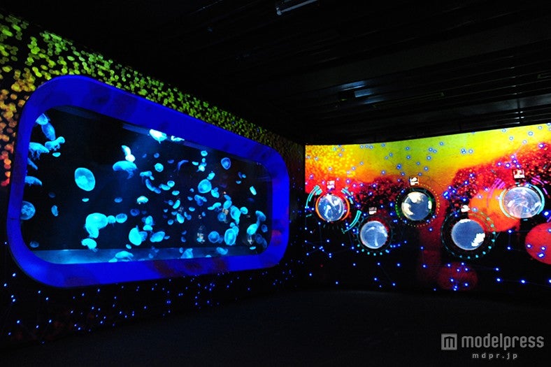 「海洋ゾーン（無脊椎の世界）」の3Dプロジェクションマッピング