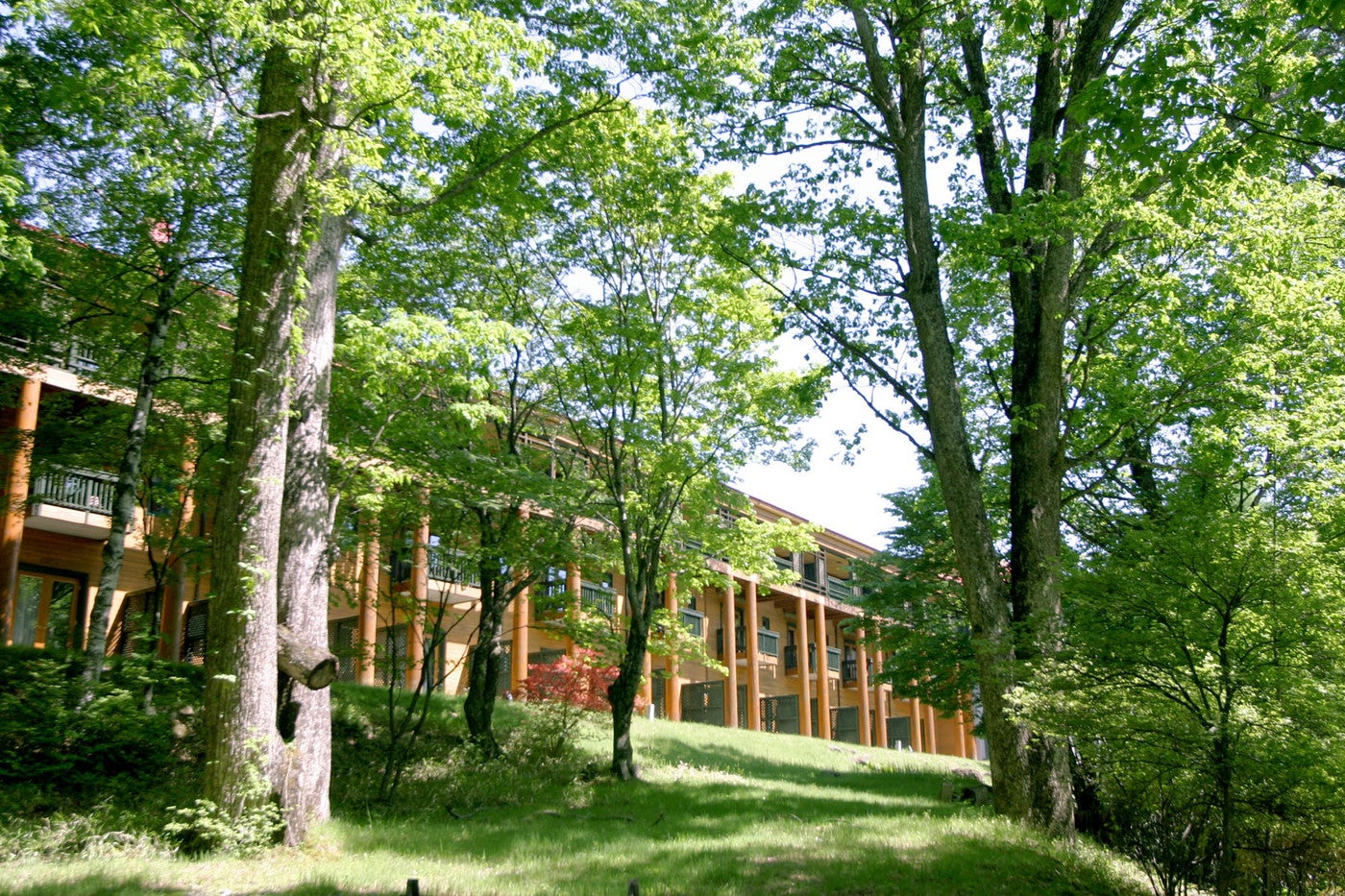 1階部屋のバルコニーは緑に囲まれていて、大自然が感じらます（提供画像）