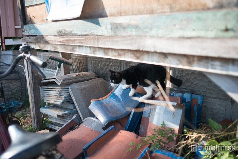 「佐々木希×川島小鳥」による「心の旅時計」企画