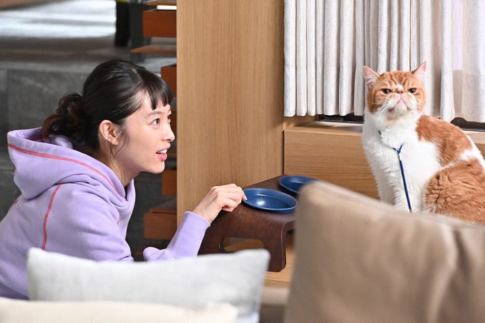 清野菜名/「婚姻届に判を捺しただけですが」第5話より(C)TBS