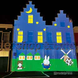 3Dプロジェクションマッピングショー ナインチェダンスナイト(C)モデルプレス