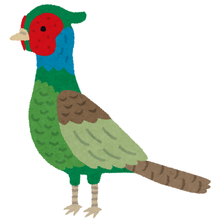 キジのイラスト