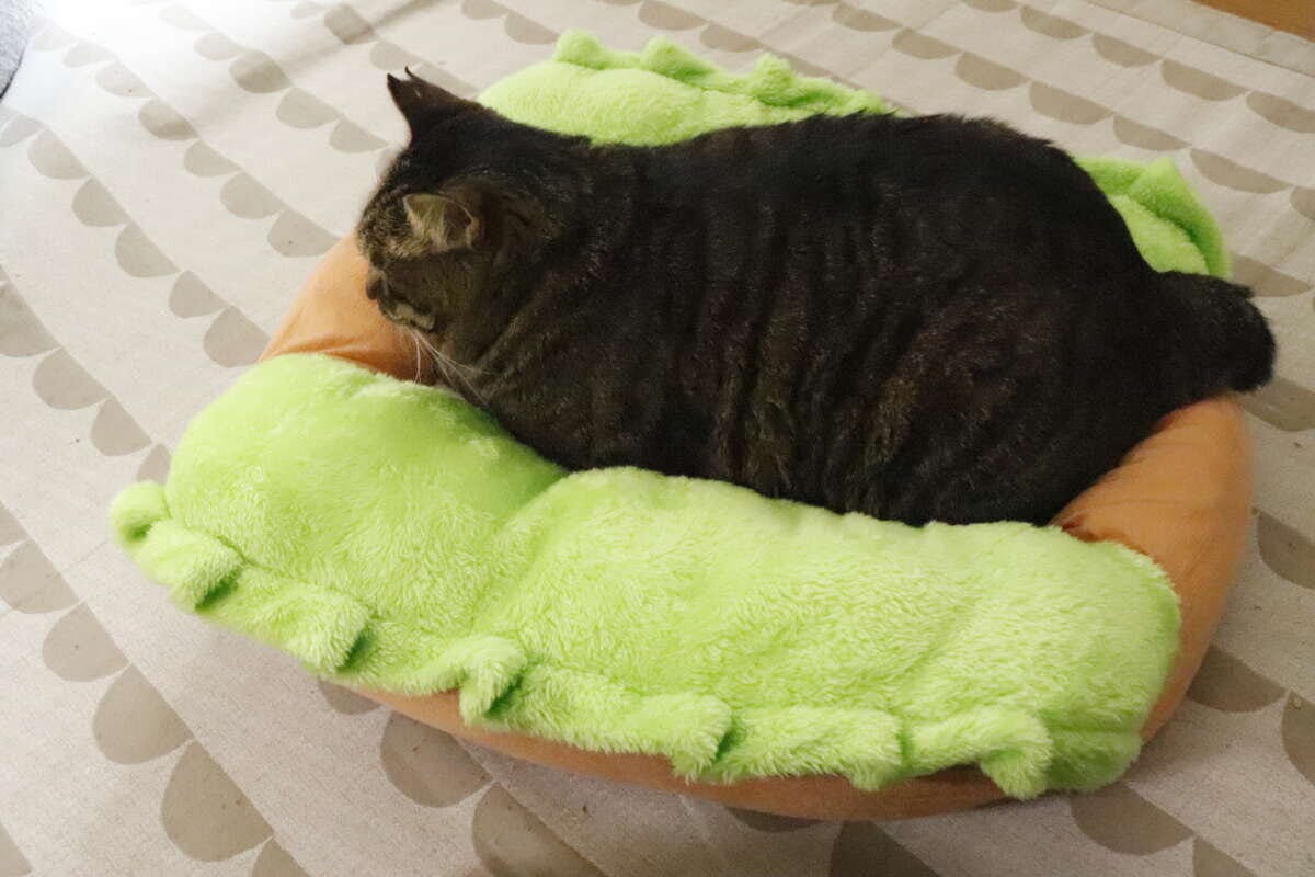 ペットベッド