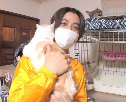 King & Prince高橋海人、新プロジェクトに気合い「僕は猫担当なので頑張る」