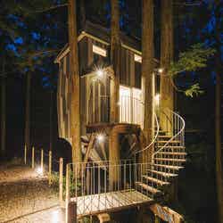 ツリーハウス/画像提供:第一ホテルマネジメント