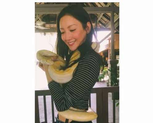 “メデューサ”菜々緒、ヘビを巻きつけキス「石にされたい」志願者続出