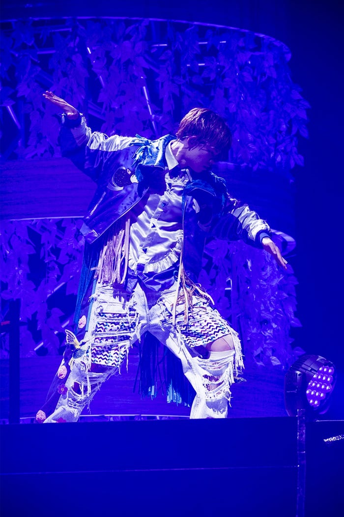 カイ(写真提供:SDR)