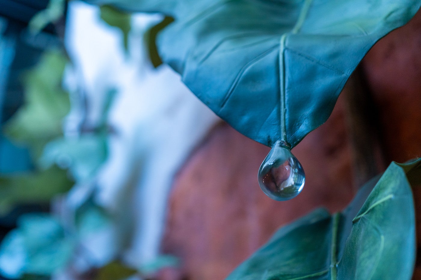 （C）Studio Ghibli