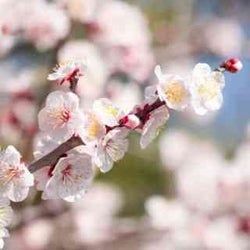 【12星座別】3月の総合運